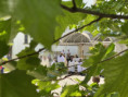 /album/fotogaleria-urnapi-kormenet-2026/img-9999-jpg1/